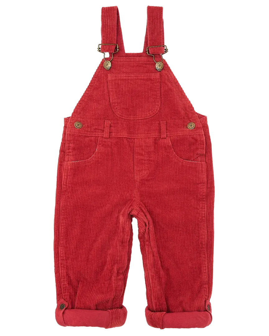 Boys Chunky Muted Dungarees in Robin