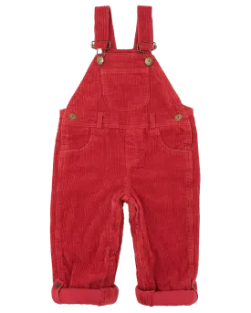 Boys Chunky Muted Dungarees in Robin
