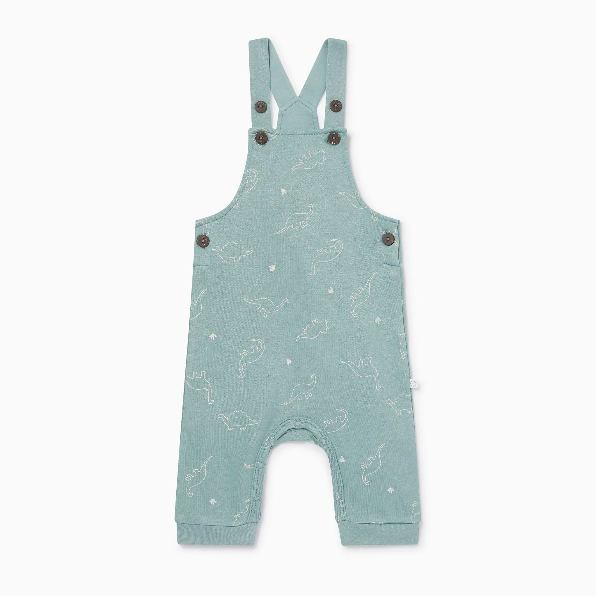 Dino Dungarees & Bodysuit Outfit